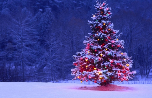 KDM Events - Christmas party ideas'